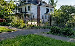A side yard garden on Maryland Avenue in Syrause.