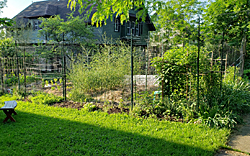 A side yard garden on Maryland Avenue in Syrause.