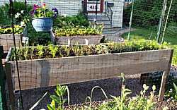 A closeup of a front lawn salad table.